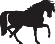 Horse PNG Free Image Download 31