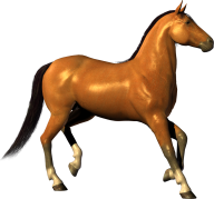 Horse PNG Free Image Download 44
