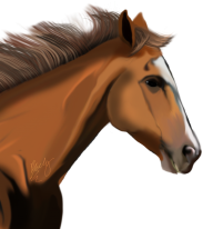 Horse PNG Free Image Download 47