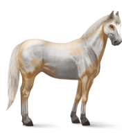 Horse PNG Free Image Download 52