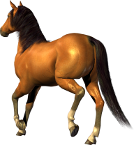 Horse PNG Free Image Download 54