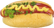 Hot Dog PNG Free Image Download 10