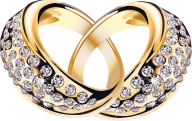 Jewelry PNG Free Download 69