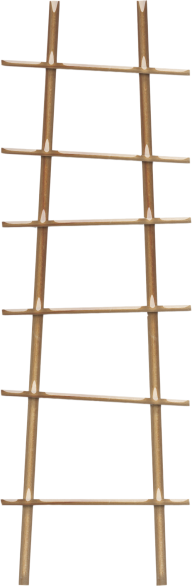Ladder PNG Free Download 38