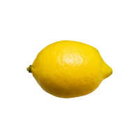 Lemon PNG Free Download 10
