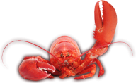 Lobster PNG Free Download 24
