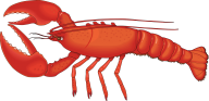 Lobster PNG Free Download 32