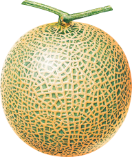 Melon PNG Free Download 4