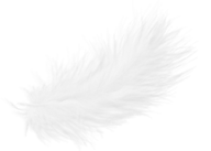 Milky White Feather Png