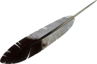 Myna Feather Png
