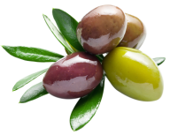 Olives PNG Free Download 46