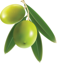 Olives PNG Free Download 54