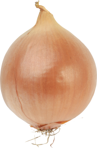Onion PNG Free Download 8