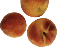 Peach PNG Free Download 24