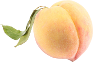 Peach PNG Free Download 35