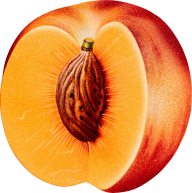 Peach PNG Free Download 36