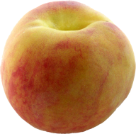 Peach PNG Free Download 42