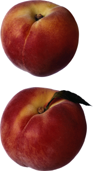 Peach PNG Free Download 51
