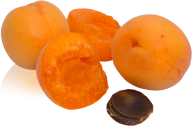Peach PNG Free Download 54