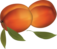 Peach PNG Free Download 57