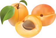 Peach PNG Free Download 58