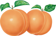Peach PNG Free Download 60