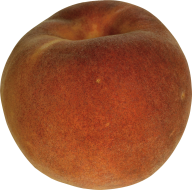 Peach PNG Free Download 63