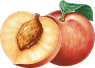 Peach PNG Free Download 8