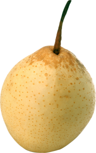 Pear PNG Free Download 34