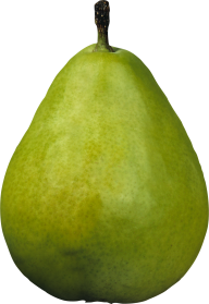 Pear PNG Free Download 36