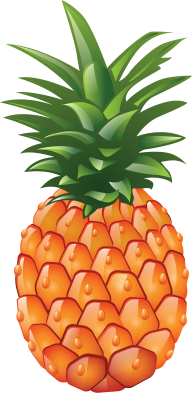 Pineapple PNG Free Download 1