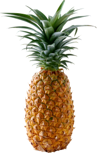 Pineapple PNG Free Download 16
