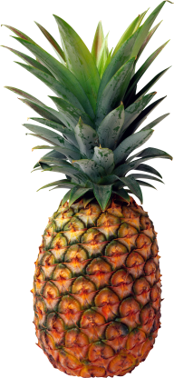 Pineapple PNG Free Download 30