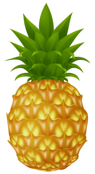 Pineapple PNG Free Download 33