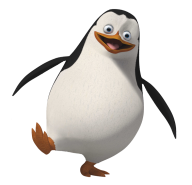 Pinguin PNG Free Download 17