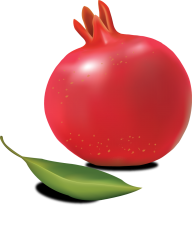 Pomegranate PNG Free Download 6