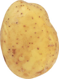 Potato PNG Free Download 22