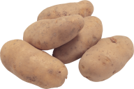 Potato PNG Free Download 31