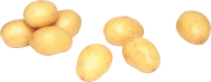 Potato PNG Free Download 32