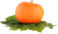 Pumpkin PNG Free Download 45