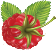Raspberry PNG Free Download 10