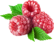 Raspberry PNG Free Download 12