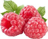 Raspberry PNG Free Download 13