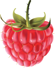 Raspberry PNG Free Download 16