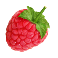 Raspberry PNG Free Download 26