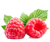 Raspberry PNG Free Download 32