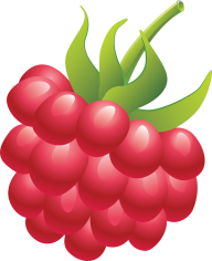Raspberry PNG Free Download 35
