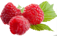Raspberry PNG Free Download 39