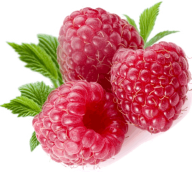 Raspberry PNG Free Download 40