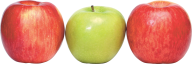 Red and Green Apple Png